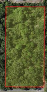 0 Clark RD, Saint Cloud, Florida 34772, USA