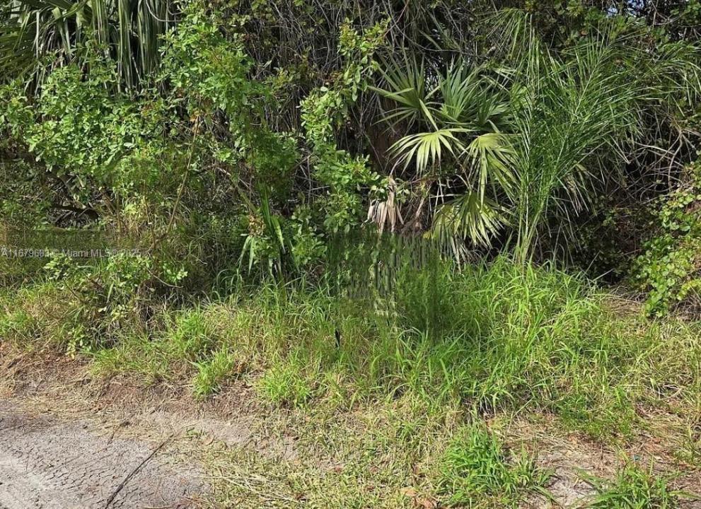 123 Cardinal Dr, Sebastian, Floride 32958, États-Unis