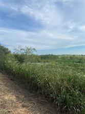 County Road 3254, Mount Calm, Texas 76673, USA