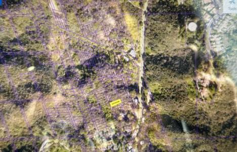 Pointer Ln, Bel Air, كاليفورنيا 90077, الولايات المتحدة
