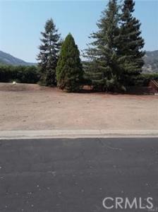 Paradise Valley Boulevard, Lucerne, 캘리포니아 95458, 미국