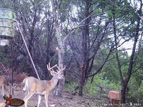 Private Road 2131, Iredell, Texas 76649, USA