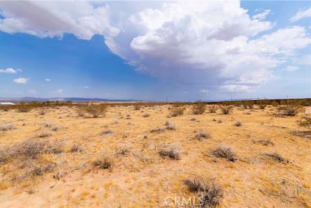 Ducor Avenue, Landers, 加利福尼亚州 92285, 美国