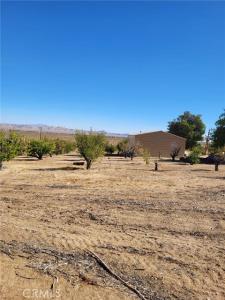 Midway Avenue, Lucerne Valley, カリフォルニア 92356, アメリカ合衆国