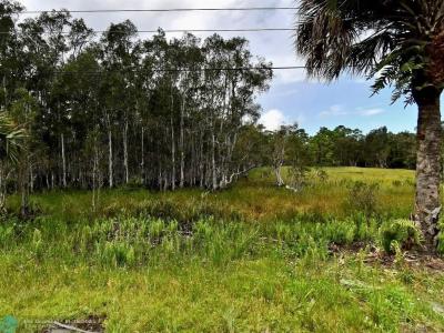 Silver Oak Dr, Port St Lucie, Florida 34952