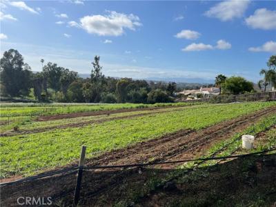 Bautista Avenue, Vista, 캘리포니아 92084, 미국