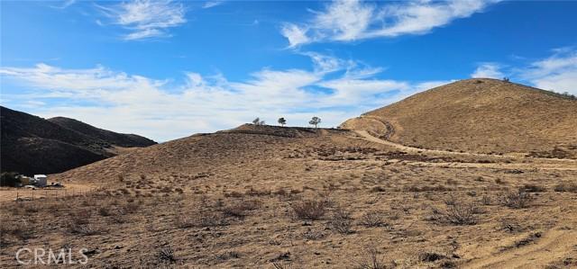 Carrie Court, Agua Dulce, California 91390