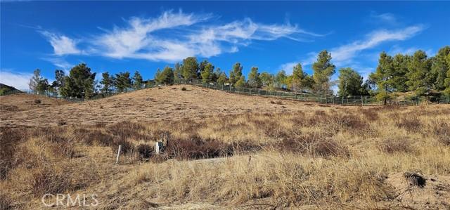 Carrie Court, Agua Dulce, California 91390