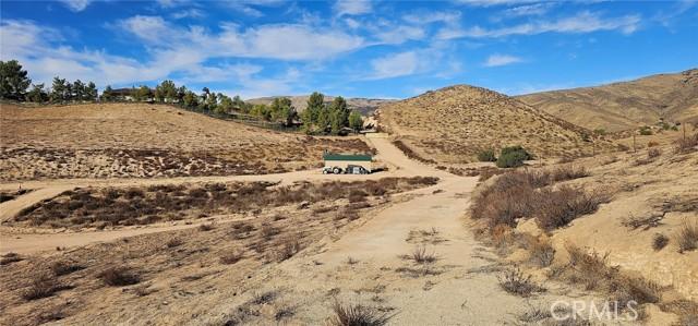 Carrie Court, Agua Dulce, California 91390