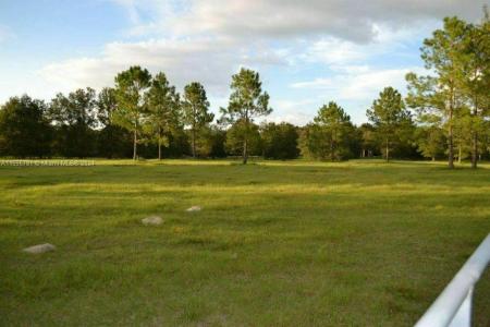 0 464B Southeast 170th (220th) Avenue, Other City - In The State Of Florida, Florida 32668, USA