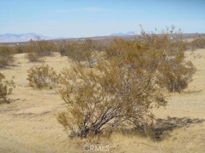 BROWN Boulevard, California City, California 93505