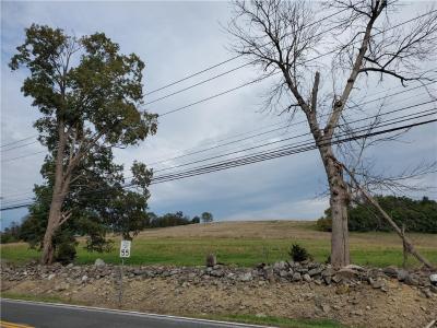 148 Brookside Avenue, Chester Town, Nova Iorque 10918, Estados Unidos