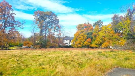 114 Willow Tree Road E, Ramapo, Нью-Йорк 10977, Соединенные Штаты
