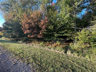 Ulster Heights Road, Fallsburg, New York 12733, USA