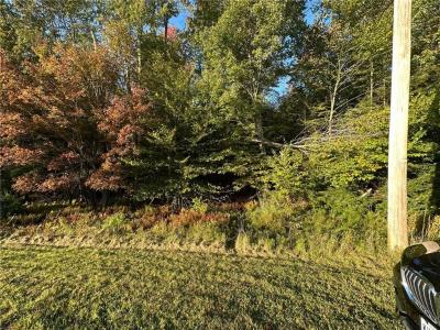 Ulster Heights Road, Fallsburg, New York 12733, USA