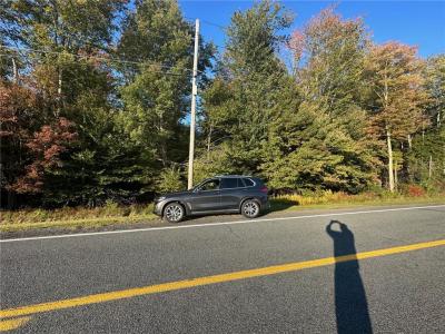 Ulster Heights Road, Fallsburg, New York 12733, USA