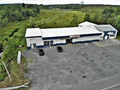 184-186 Broadway E, Thompson, New York 12701, HOA KỲ