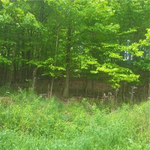 *** Mountaindale Road, Fallsburg, New York 12733, USA