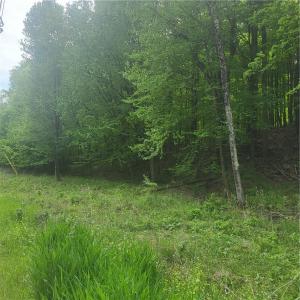 *** Mountaindale Road, Fallsburg, New York 12733, USA