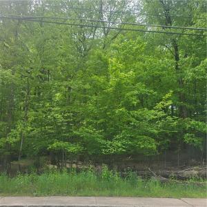 *** Mountaindale Road, Fallsburg, New York 12733, USA
