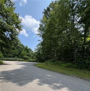 29 Michael Way, Patterson, ניו יורק 12563, ארצות הברית של אמריקה 