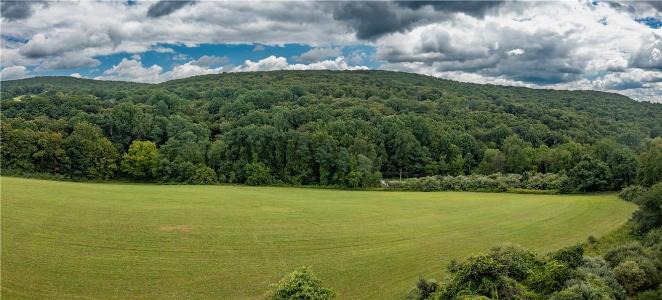 245 Birch Hill Road, Patterson, ניו יורק 12563, ארצות הברית של אמריקה 