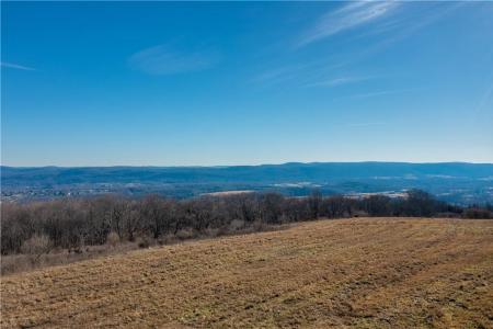 1297 Route 343, Washington, New York 12522, USA