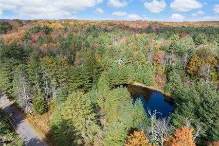 378 Gregory Road, Thompson, New York 12701, Stati Uniti