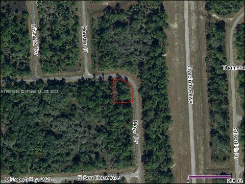 319 James Irwin Terr, BANYAN VILLAGE, La Belle, 플로리다 33935, 미국