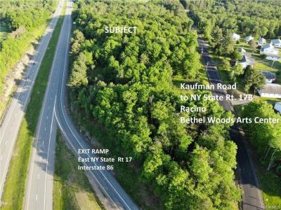 Lot 5.4 Kaufman Road, Thompson, New York 12701, Stati Uniti