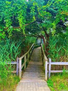 30 Gale Walk, Islip, New York 11770, HOA KỲ