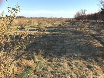 Horton Avenue, Riverhead, نيويورك 11901, الولايات المتحدة