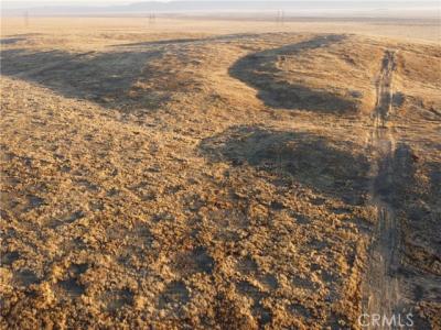 Belden Rd, California Valley, California 93453, Stati Uniti