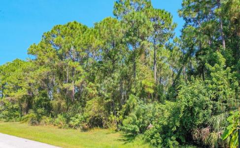 31 Karmain RD, North Port, Flórida 34288, Estados Unidos