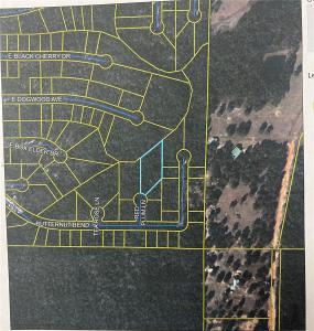 0 Red Plum Ln, Other City - In The State Of Florida, Florida 32433, USA