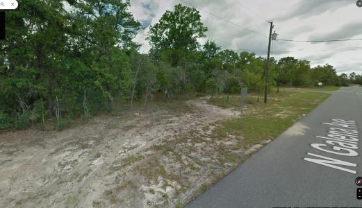 8150 N Galena Avenue, Citrus Springs, Flórida 34434, Estados Unidos