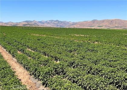 Orcutt Garey Road, Santa Maria, Калифорния 93454, Соединенные Штаты