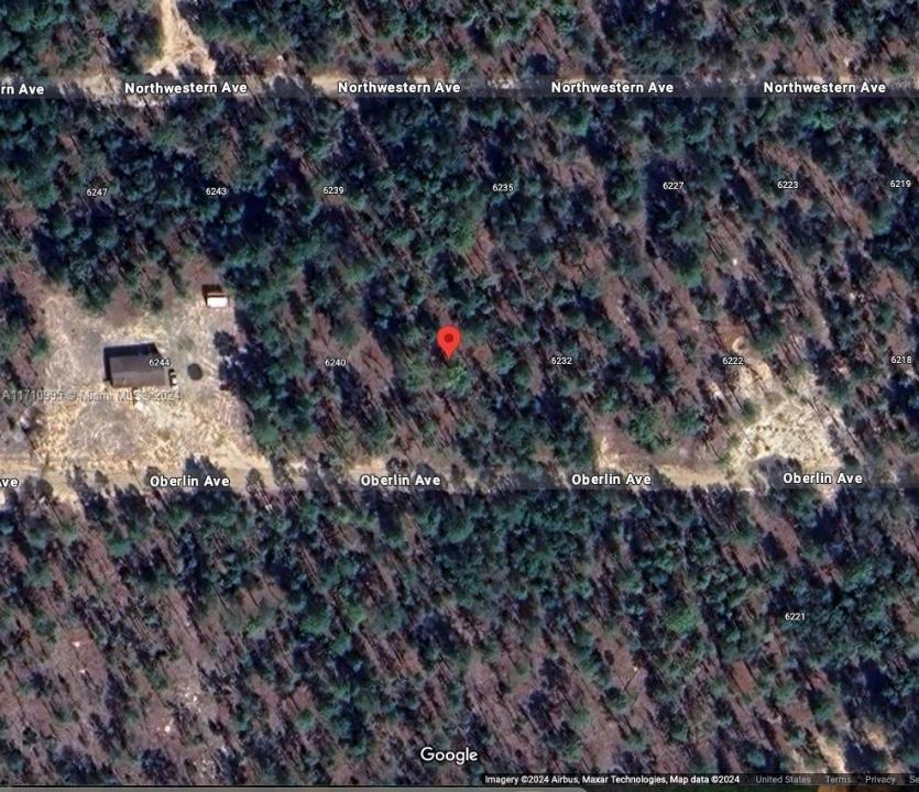 6236 OBERLIN Ave, Other City - In The State Of Florida, Florida 32656, Amerika Birleşik Devletleri