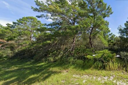 4738 San Ignacio Dr, Sebring, Florida 33872, USA