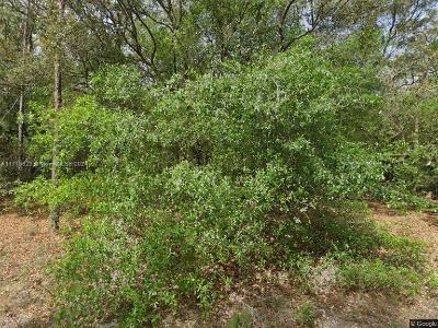 215 WILSON AV, Other City - In The State Of Florida, Florida 32148, USA