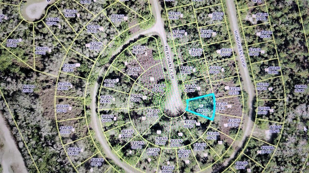 1826 Merchant Cir, Lehigh Acres, 플로리다 33972, 미국