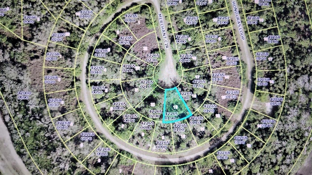 1822 Merchant Cir, Lehigh Acres, Florida 33972, Stati Uniti