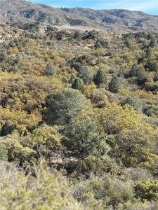 Upper Valley Road, Anza, California 92539