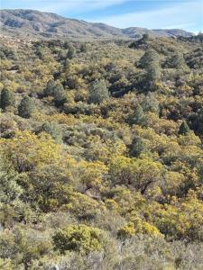 Upper Valley Road, Anza, California 92539