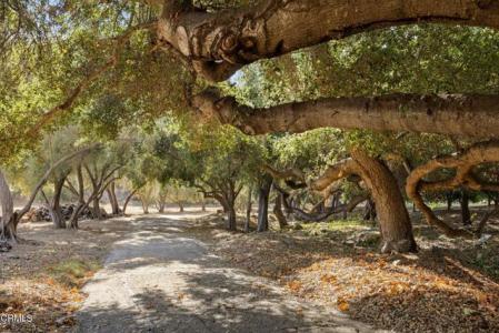 Hermitage Road, Ojai, California 93023, Estados Unidos
