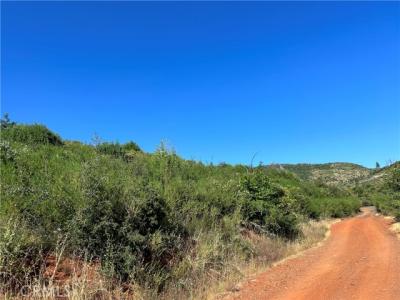 Hog Ranch Road, Oroville, 加州 95965, 美國