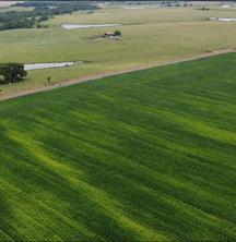 FM 667, Ý, Texas 76651, HOA KỲ