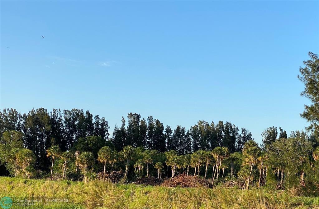 TBD S Header Canal Road, Fort Pierce, Flórida 34945, Estados Unidos