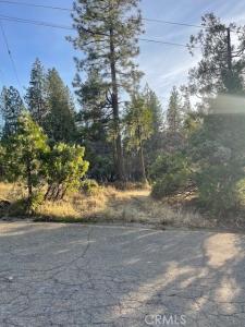 Shad Way, Pollock Pines, Californie 95726, États-Unis