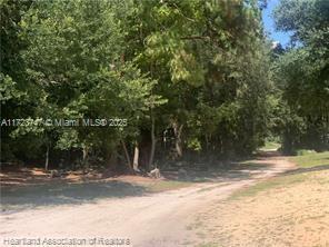 2326 W Barben Road, Avon Park, Флорида 33825, Соединенные Штаты